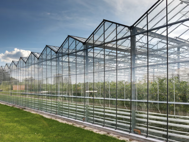 KLV Projects Gallery.
Greenhouses.